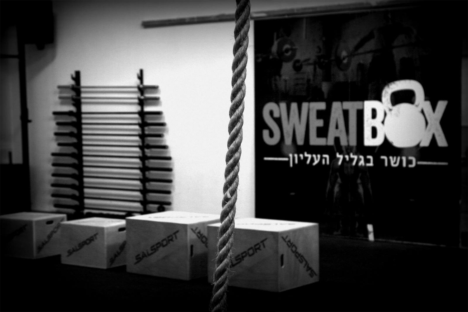 logo_sweat