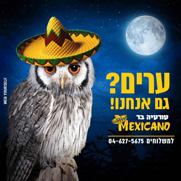 פרסום