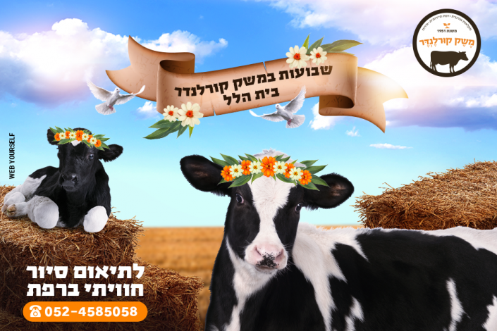 פרסום