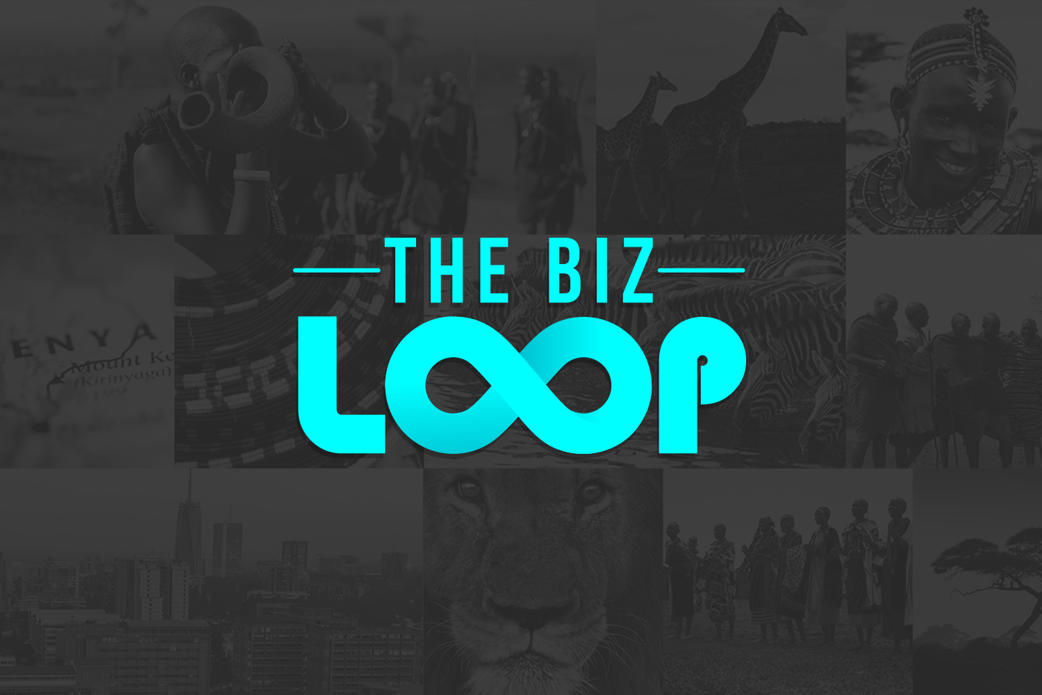 THE BIZ LOOP