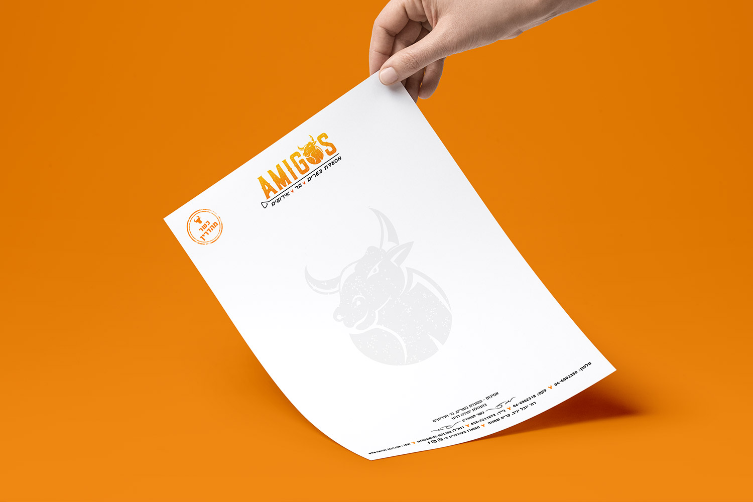 עיצוב-מסמכים-אמיגוס