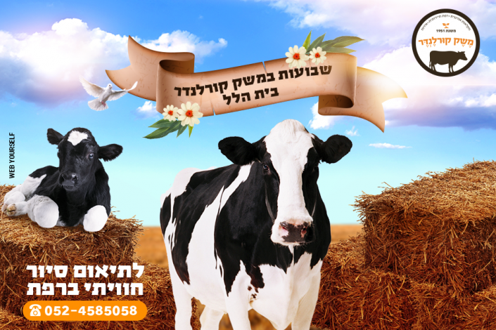 משק קורלנדר